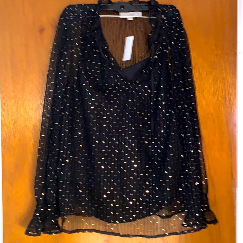 LOFT sparkle blouse